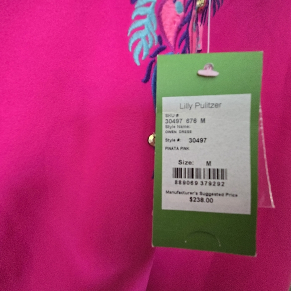 Vibrant Pink Sleeveless Dress with Embroidered Detail - Picture 2 of 4